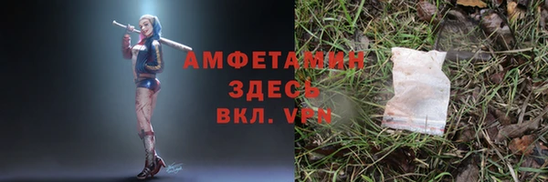 ГАЛЛЮЦИНОГЕННЫЕ ГРИБЫ Краснослободск