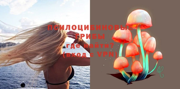 ГАЛЛЮЦИНОГЕННЫЕ ГРИБЫ Краснослободск