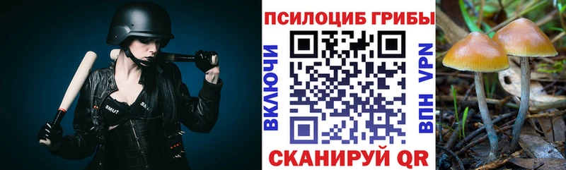 Галлюциногенные грибы GOLDEN TEACHER Купить Чита